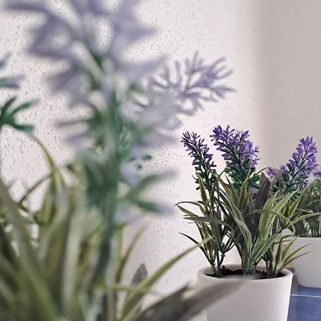 La Tappa Del Vignaiolo Home Мамояда Екстериор снимка